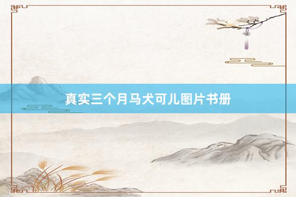 真实三个月马犬可儿图片书册