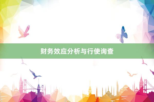 财务效应分析与行使询查